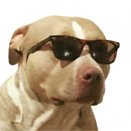 😎 Стикер «Facchia» для Telegram