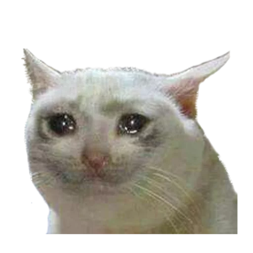 😿 Стикер «Facchia» для Telegram