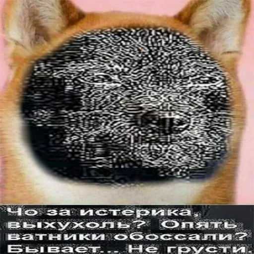 😎 Стикер «... by Ши3іК» для Telegram