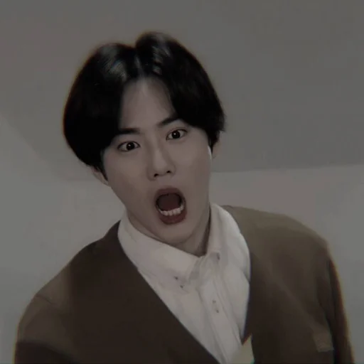 ⚱️ Стикер «SUHO EXO» для Telegram