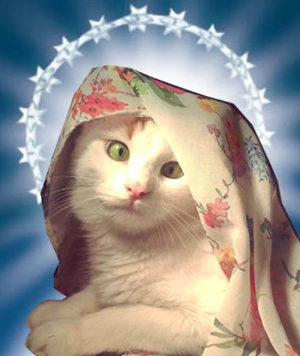 👰 Стикер «Halp» для Telegram