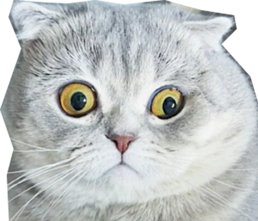 😳 Стикер «Halp» для Telegram