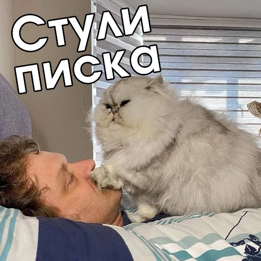 🤭 Стикер «Файні звірятка №2» для Telegram