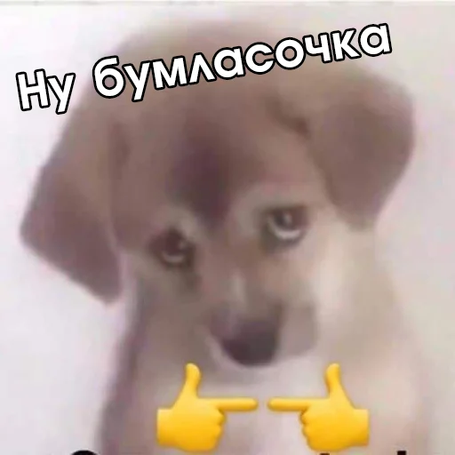 🥺 Стикер «Файні звірятка №2» для Telegram