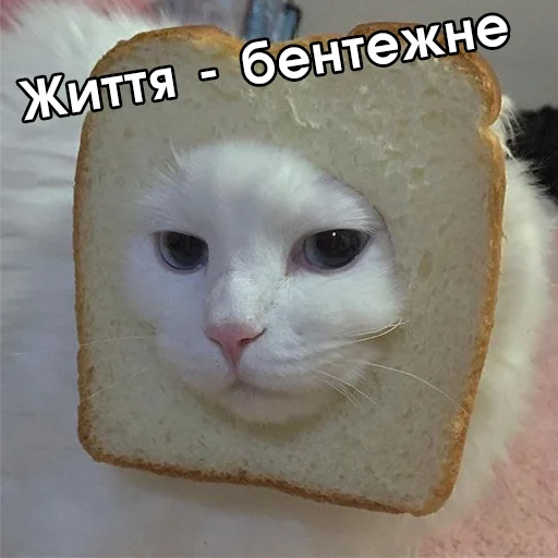 🍞 Стикер «Файні звірятка №2» для Telegram