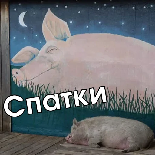 😪 Стикер «Файні звірятка №2» для Telegram