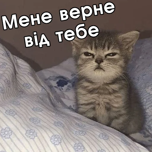 😒 Стикер «Файні звірятка №2» для Telegram