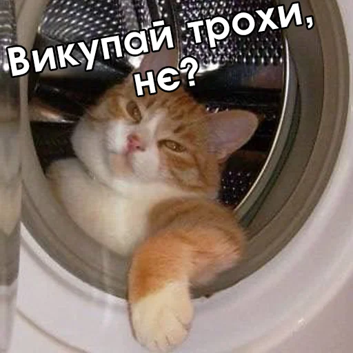 😒 Стикер «Файні звірятка №2» для Telegram