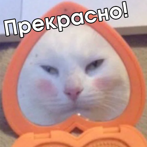 ❤️ Стикер «Файні звірятка №2» для Telegram