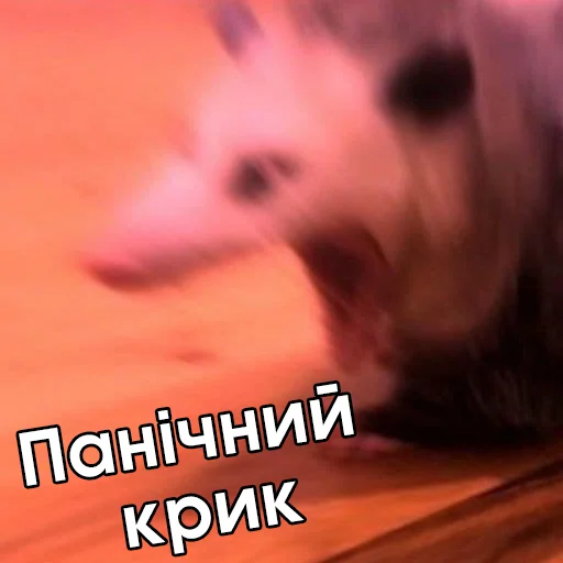 😱 Стикер «Файні звірятка №2» для Telegram