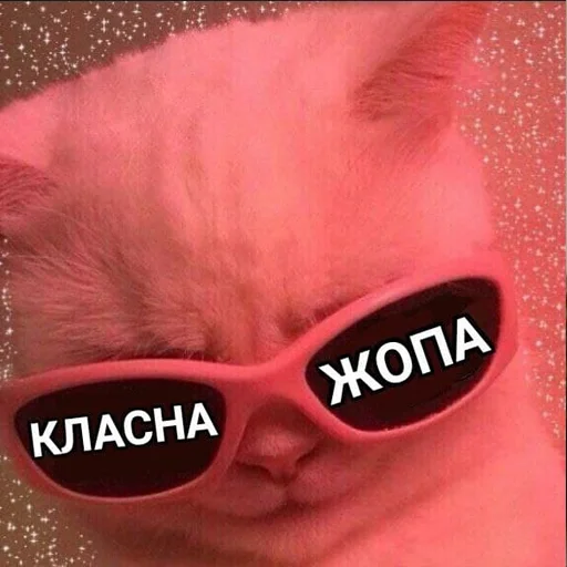 😏 Стикер «Файні звірятка №2» для Telegram