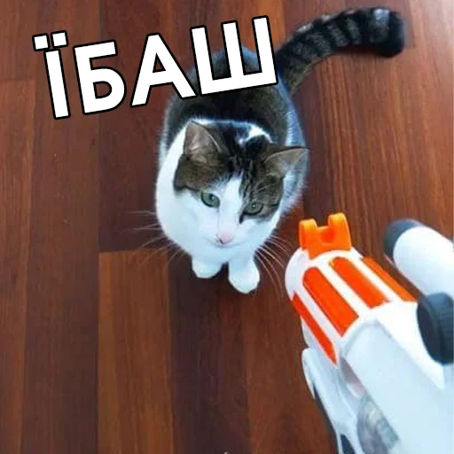 🔫 Стикер «Файні звірятка №2» для Telegram
