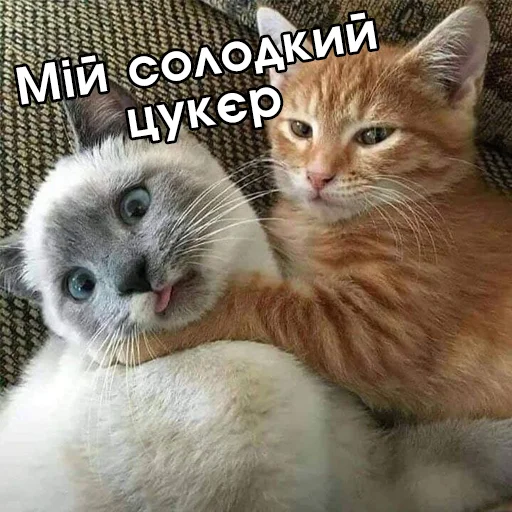 🤗 Стикер «Файні звірятка №2» для Telegram