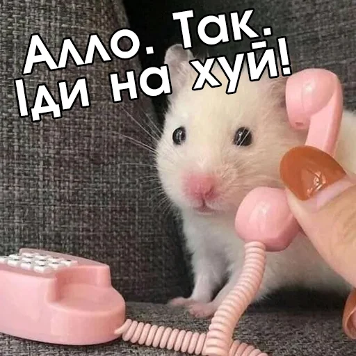 🥱 Стикер «Файні звірятка №2» для Telegram