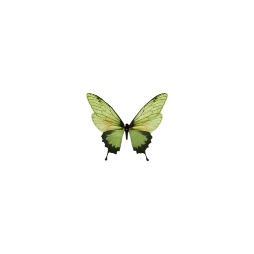🌟 Стикер «fairy kitty» для Telegram