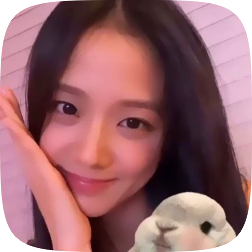 💐 Стикер «Jisoo» для Telegram