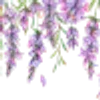 🌟 Эмодзи «╭┈┈ ᶠᵃᶦʳʸᶜᵒʳᵉ ┈┈╮» для Telegram