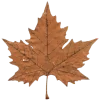 🍁 Эмодзи «⠀ ⠀ ⠀Осенний вайб» для Telegram