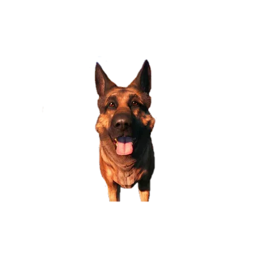 😛 Стикер «Fallout 4» для Telegram
