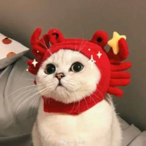 🦀 Стикер «Famous» для Telegram