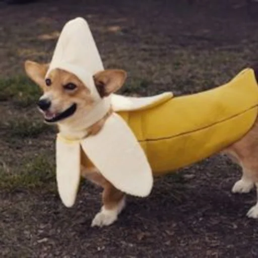 🍌 Стикер «Famous» для Telegram