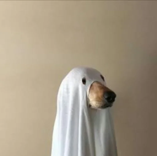 👻 Стикер «Famous» для Telegram