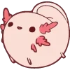 Обложка набора Fat Animals ʕ