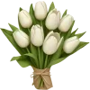 🌸 Эмодзи «beige» для Telegram