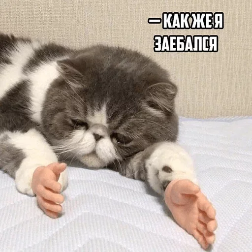 🥺 Стикер «Fave Stickers» для Telegram