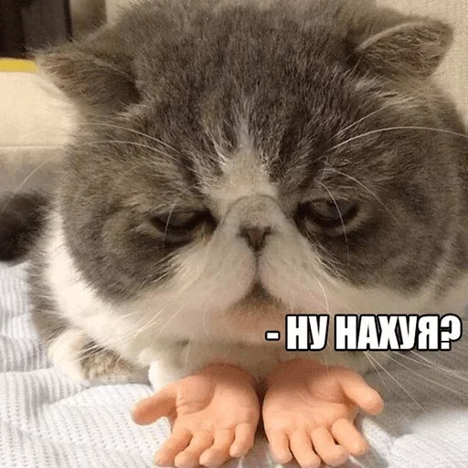 😁 Стикер «Fave Stickers» для Telegram