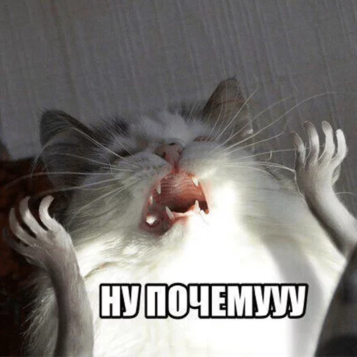 😃 Стикер «Fave Stickers» для Telegram