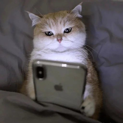 🙂 Стикер «My fav stickers» для Telegram