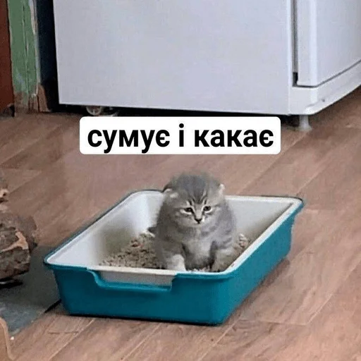 🥲 Стикер «My fav stickers» для Telegram