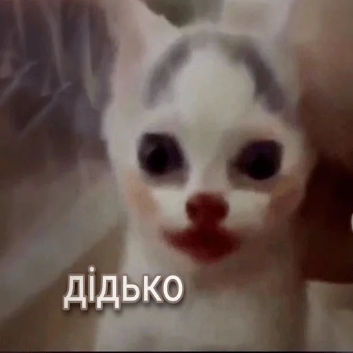 🙄 Стикер «My fav stickers» для Telegram