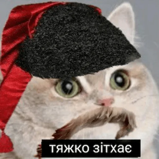 😤 Стикер «My fav stickers» для Telegram