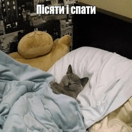 😴 Стикер «My fav stickers» для Telegram