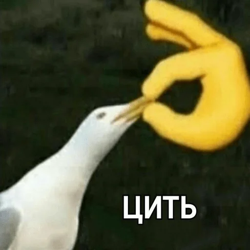 🤫 Стикер «My fav stickers» для Telegram