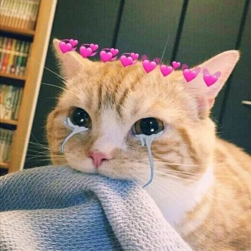 🥹 Стикер «My fav stickers» для Telegram