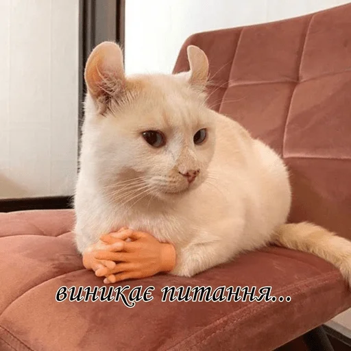 🤔 Стикер «My fav stickers» для Telegram