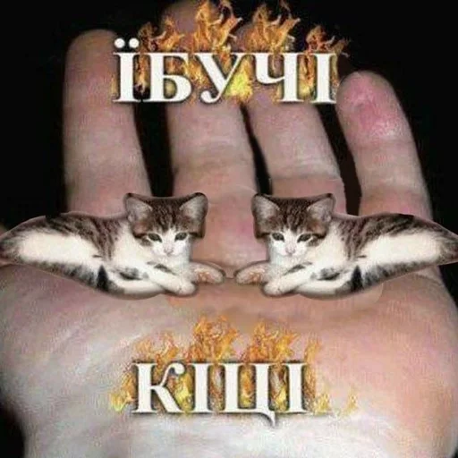 😺 Стикер «My fav stickers» для Telegram