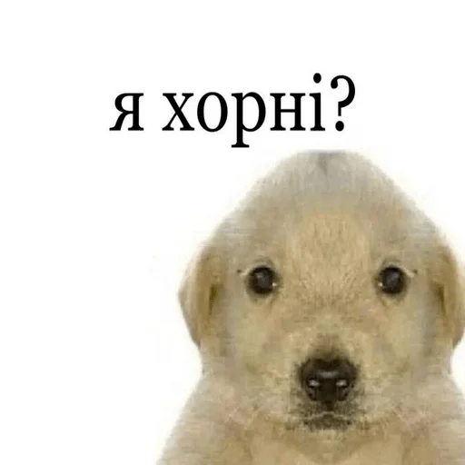 😏 Стикер «My fav stickers» для Telegram