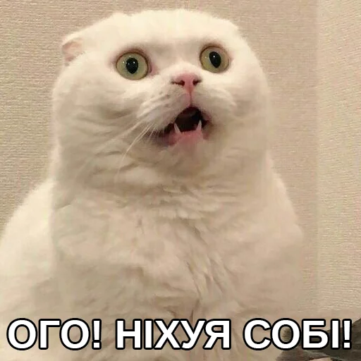 😱 Стикер «Файні звірятка» для Telegram
