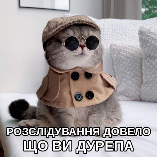 😡 Стикер «Файні звірятка» для Telegram
