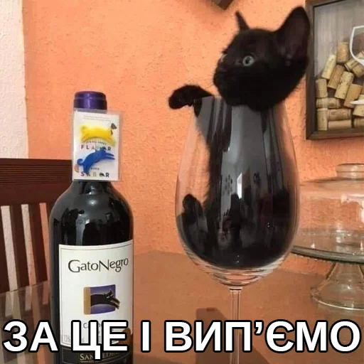 🍷 Стикер «Файні звірятка» для Telegram