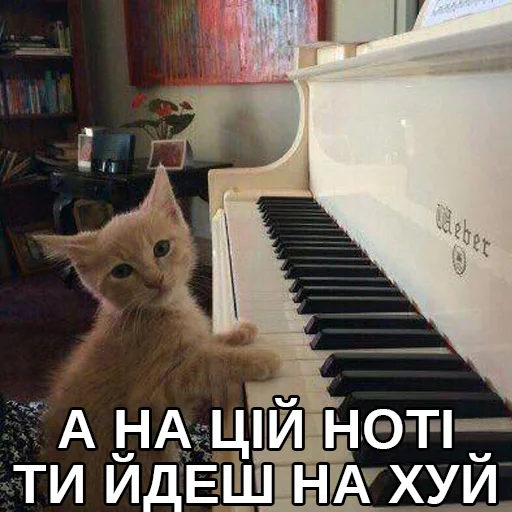 🖕 Стикер «Файні звірятка» для Telegram