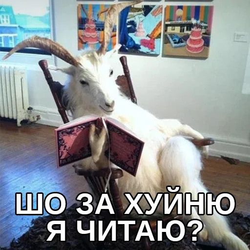 👀 Стикер «Файні звірятка» для Telegram