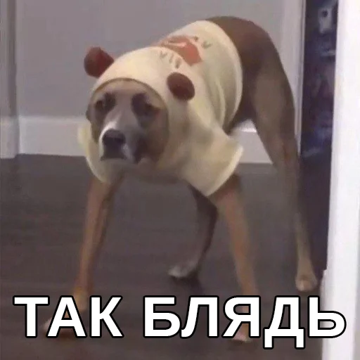 😒 Стикер «Файні звірятка» для Telegram