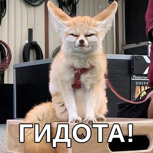 🤢 Стикер «Файні звірятка» для Telegram