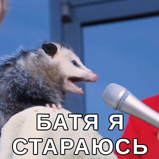 😥 Стикер «Файні звірятка» для Telegram