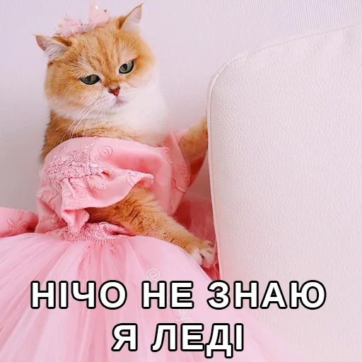 💅 Стикер «Файні звірятка» для Telegram